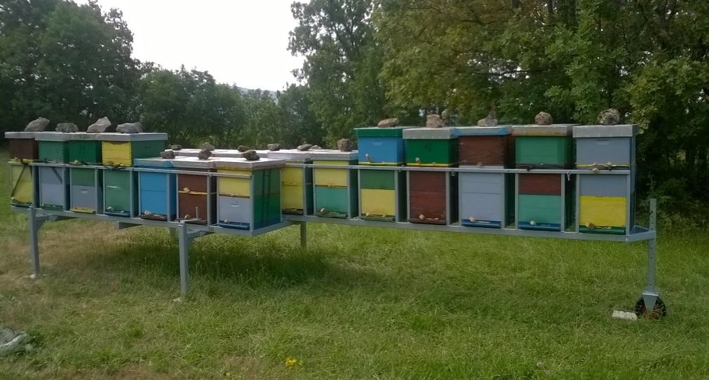 Autoprikolica za košnice/pčele